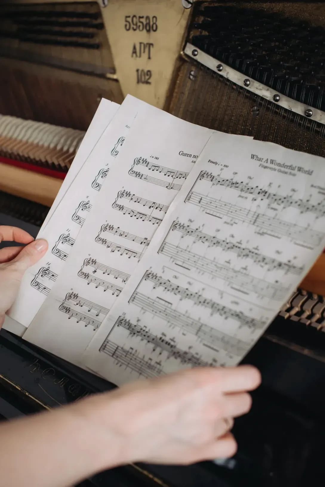 Private piano lessons for beginners