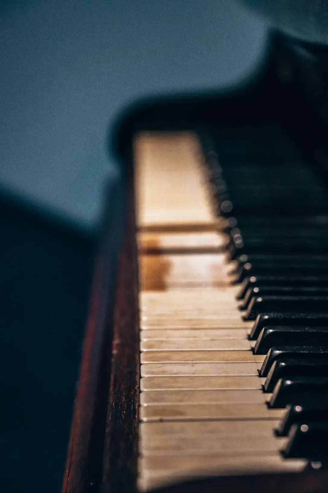 Adult beginner piano lessons